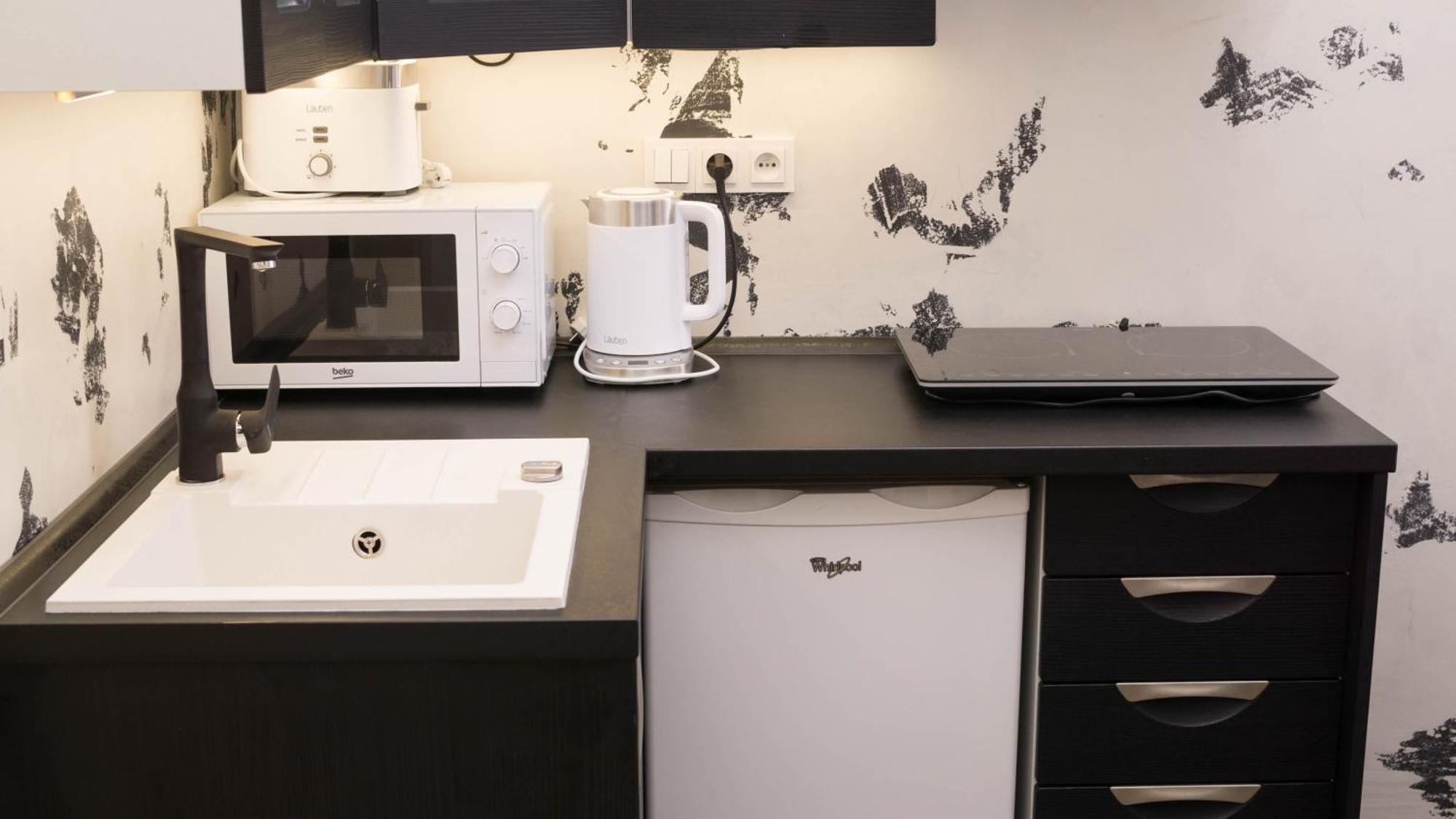 Black & White Apartment Prague By Wenceslas Square And Muzeum * Prague