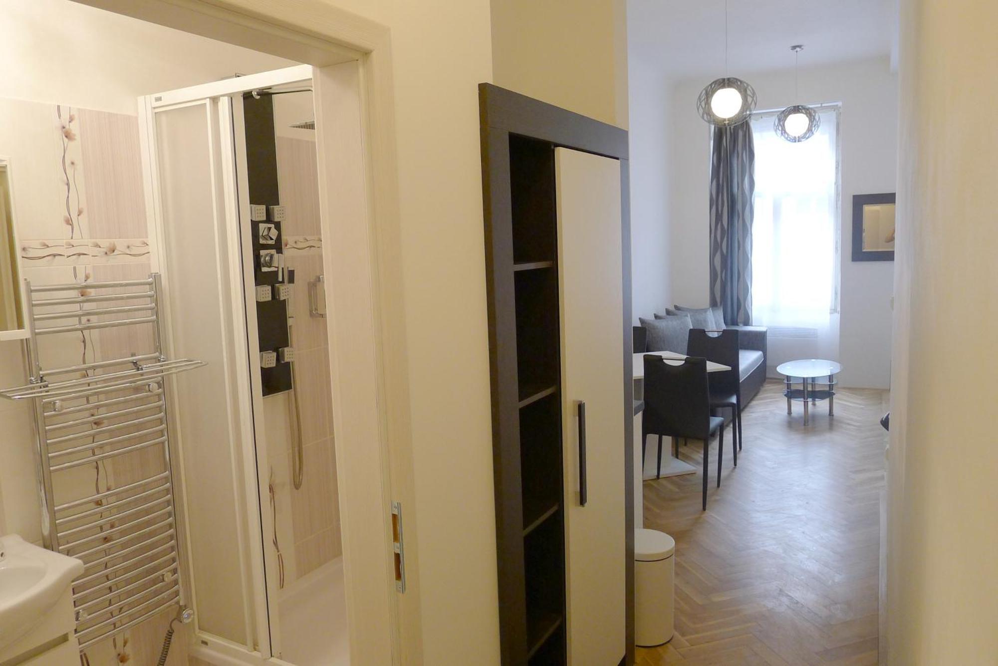 Black & White Apartment Prague By Wenceslas Square And Muzeum Прага