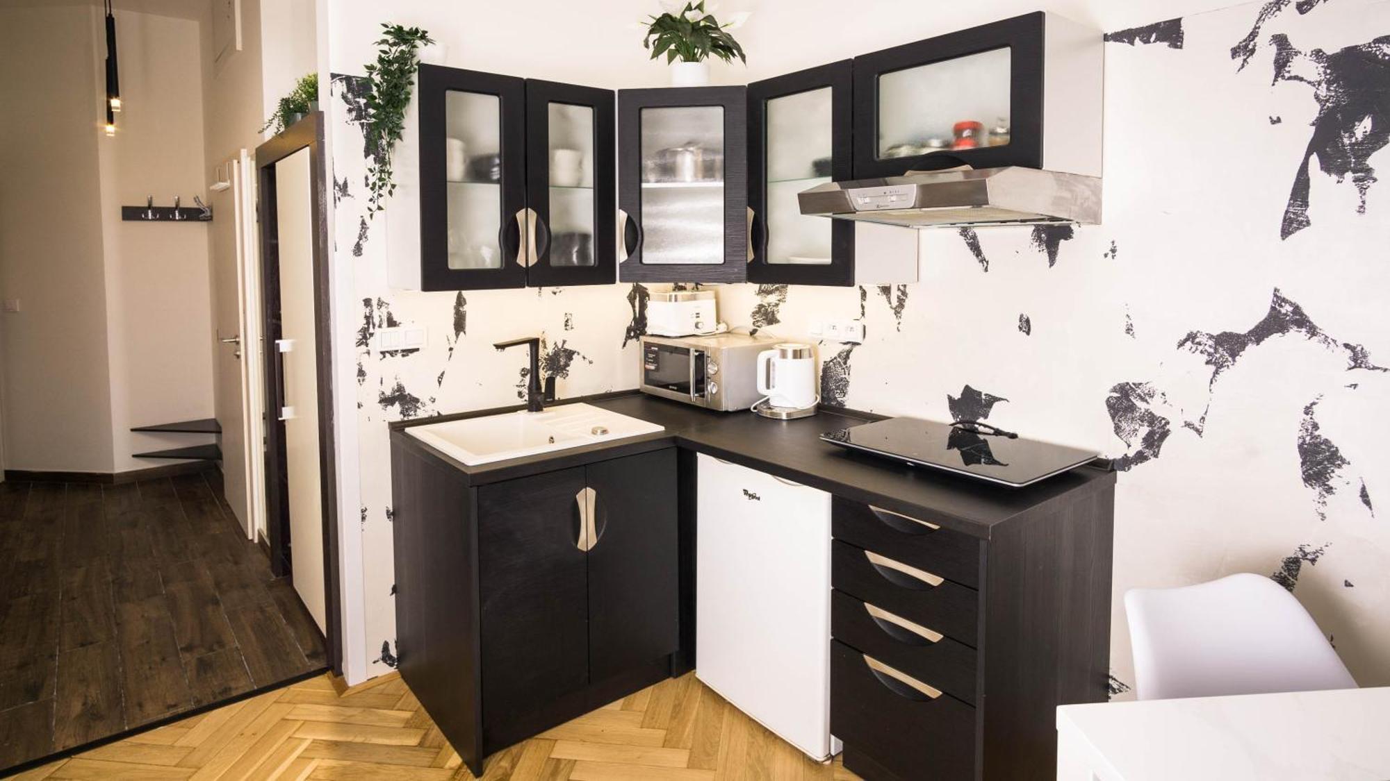Black & White Apartment Prague By Wenceslas Square And Muzeum Апартаменты Прага