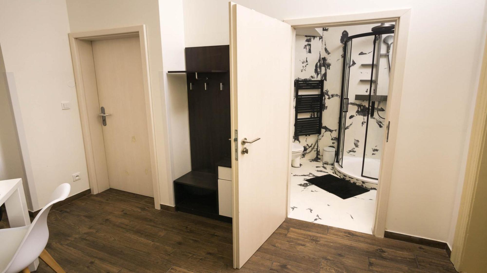 Black & White Apartment Prague By Wenceslas Square And Muzeum Апартаменты *
